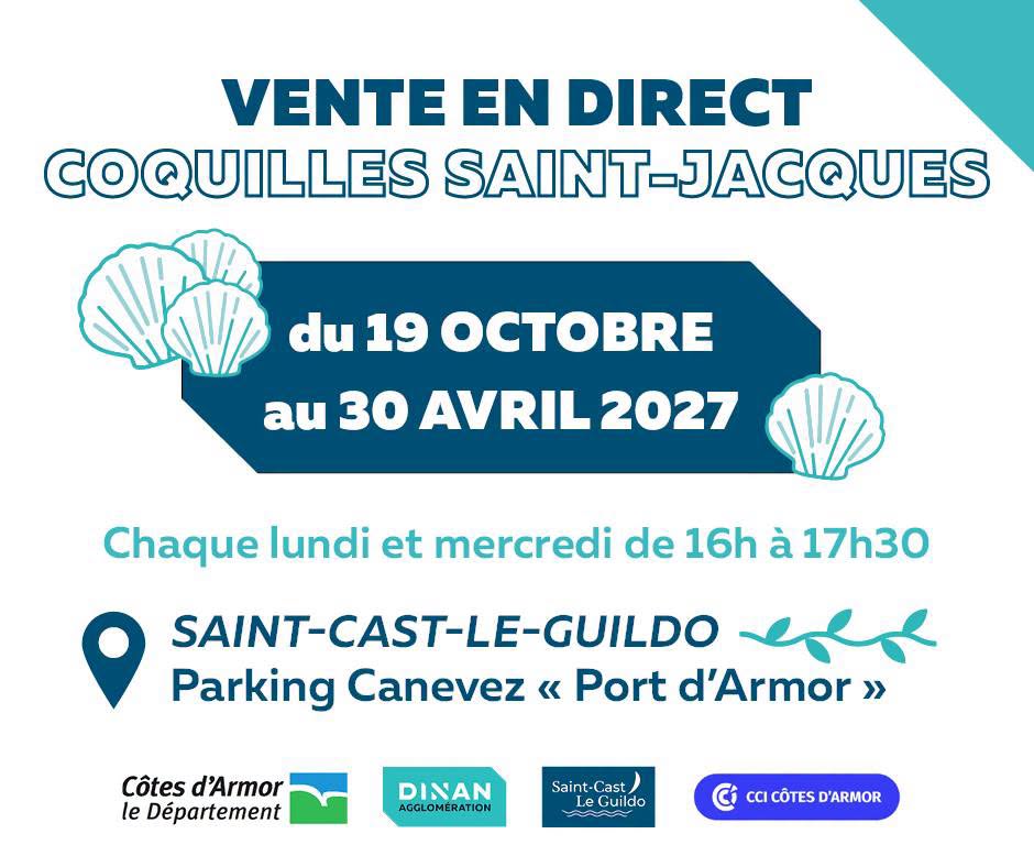 Vente en direct de coquilles Saint-Jacques